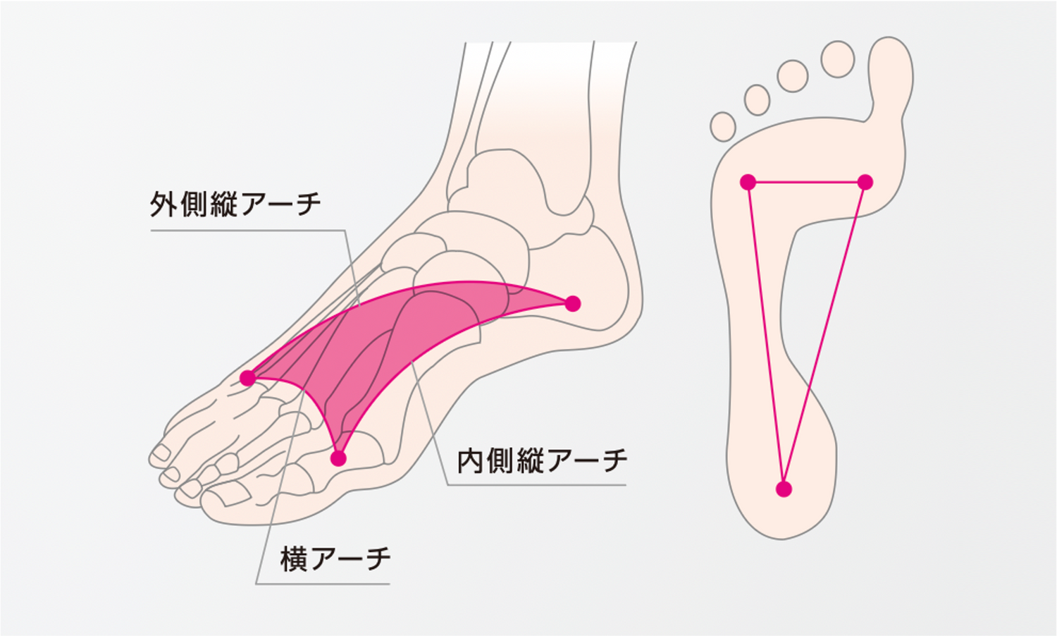 アーチをサポートし、ウィンドラスメカニズム※が正しく働くことで足を理想的なバランスに導き、足の疲労感・負担を軽減
